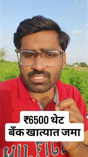 सरकार देणार ₹6500 😳 | Amrut Typing Scheme 2026 #Yojna #Yojnavala