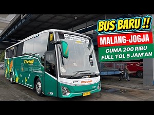 AMAZING‼️ MALANG-JOGJA FULL TOLL FARE ONLY 200 THOUSAND ONLY 5 HOURS RIDE THE NEW TIVIDI GOLD CLA...