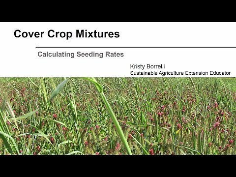 Cover Crop Mixtures: Calculating Seeding Rates