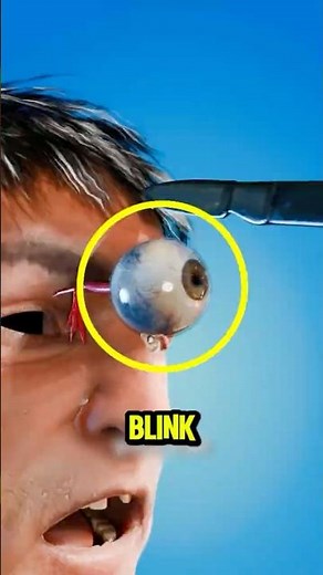 Why You Must Not Stop Blinking 😳