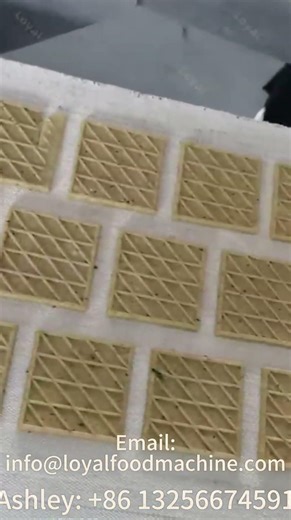 Soft Biscuit Production Line — Consistent Texture, Reliable Performance 🍪#biscuitmachine #biscuit