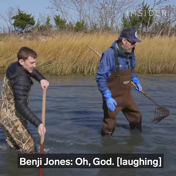 6.1M views · 34K reactions | This is what's inside a clam.  | Insider Science | Facebook