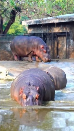 The Loudest Fart In The World