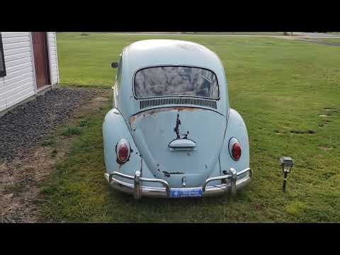 1965 VW Bug