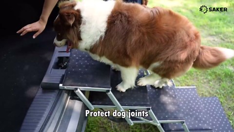 VASAGLE Floor Storage Cabinet, Freestanding Storage Unit with 2 Drawers and 2 Doors, Adjustable Shelf, 11.8 x 23.6 x 43.3 Inches, for Entryway, Bathroom, White UBBC551P31