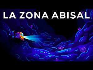 Qué hay en la ‘zona abisal’, el lugar profundo y oscuro del océano más desconocido del planeta