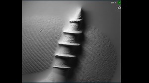 This microscope uses touch. How cool is that? #science #sciencefacts #interestingfacts #didyouknow | Steve Mould