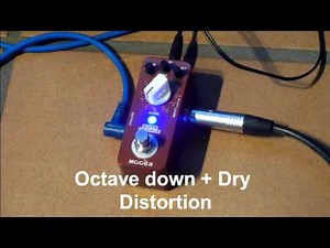 Mooer Pure Octave demo