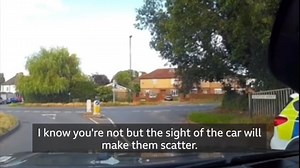 384K views · 5.5K reactions | Behold the employees of the Sussex...