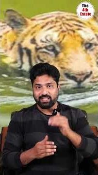 ఈ పెద్దపులిని చూస్తే నోరెళ్లబెట్టాల్సిందే.. | Tiger Swimming #viralvideo #the4thestate #ytshorts