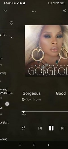 Music player & Downloader