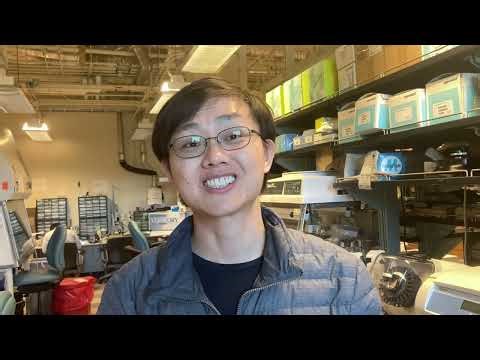Wearable patch can measure a heart’s performance