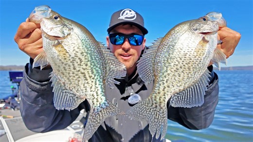 How to catch big crappie using Livescope