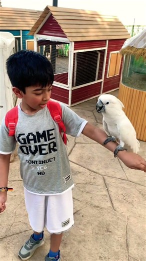 Fasih and the Parrot