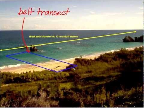 2.5.1 and 2.5.2 Zonation and Transects (ESS Guide 2026)