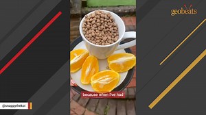 Fish amazes with dog-like traits We interviewed instagram.com/snappythekoi for this video produced exclusively by GeoBeats. | GeoBeats Animals