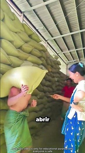 This is how they check the grain without breaking anything! Incredible! 😳