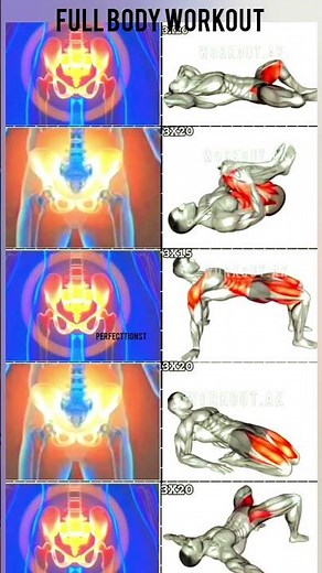 Full Body Workout at Home & Gym | Burn Fat, Build Muscle & Get Fit Fast (Beginner to Advanced)