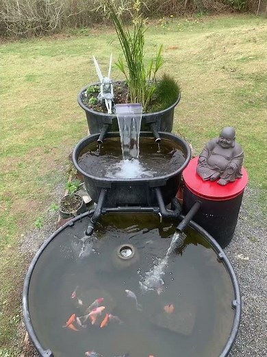 Rubbermaid Stock Tank Goldfish Pond. Bog and moving bed filter.