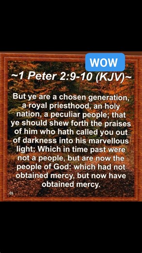 4 comments | THIS IS A BEAUTIFUL INSPIRING SCRIPTURE. GOD HAS CALLED US TO BE HIS CHOSEN GENERATION ❤️ #jesusisking # | Priscilla Govender | Facebook