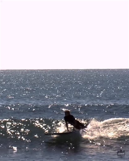 Tommy Witt & Tyler Warren riding a 1967 Bing Lightweight // #longboardsurfing #birdmanmedia #longboardsurf #surfing #instasurf #surflife #hangten #longboarding #surf #waves | Bird Man Media