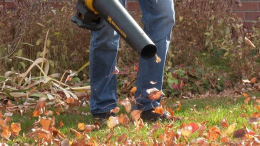 450 volunteers help Denver older adults with fall cleanup, yard work
