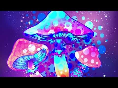 Amanitky už letos nerostou. Pohádka o kouzelných houbách