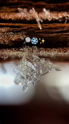 Snowflake Macro 🔎❄️✨ #winter #iceformations #icetok #winterasmr #ice