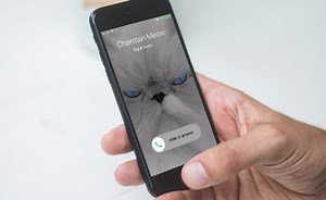 Signal Akhirnya Hadirkan Fitur Panggilan Video - Hybrid.co.id