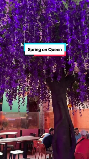 Experience Spring: Perth's Newest Hot Spot for Dining and Dancing