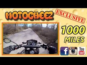 MotoCheez - RPS Hawk 250