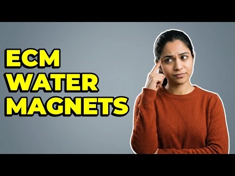 What Is The Function Of Proteoglycans In ECM Hydration?