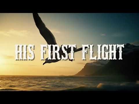 His First Flight – A Story of Fear, Courage, and Freedom