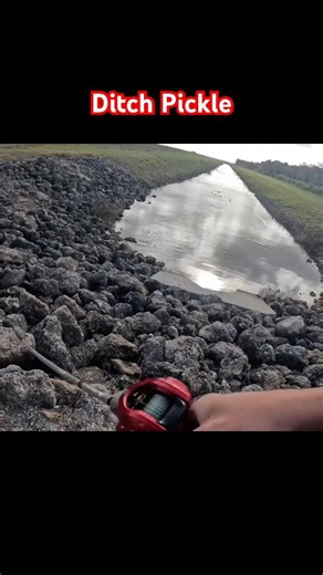 Caught a cool fish in the spillway!