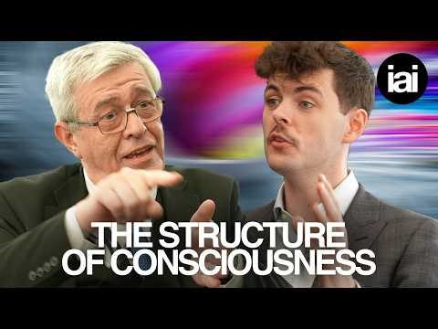 How does consciousness actually work? | Alex O'Connor, Karl Friston, Susan Schneider, Jan Westerhoff