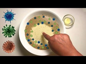 🦠 CoronaVirus / COVID-19 Germs (Black-Pepper) Experiment for Kids 🦠 Teach Hand Washing Technique 🦠