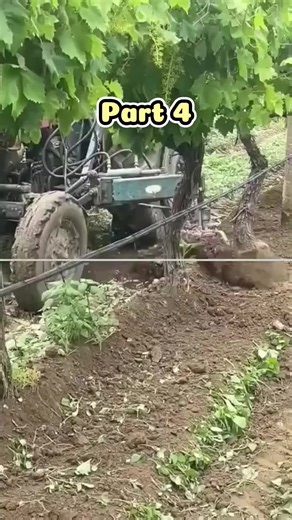 Christmas Party Drama: Family Blame Game Uncovered