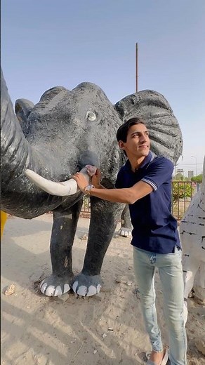 This "Big Elephant" Crying 😢❤️!