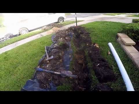 How to Dig through TREE ROOTS