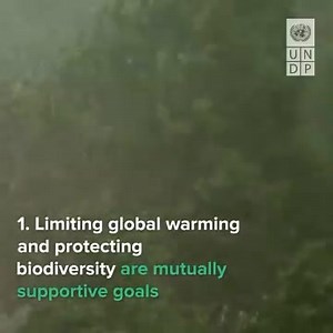 What does #biodiversity loss have to do with climate change? 🤔 Find out why these two interconnected crises must be tackled together 🌿👇 via United Nations Development Programme - UNDP | United Nations Biodiversity