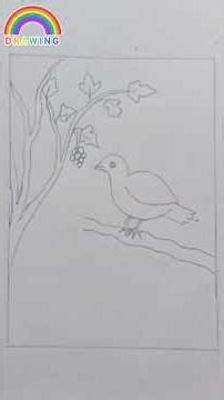 Beautiful Bird Drawing with Pencil Sketch ✏️🕊️#rainbowdrawing #art #pencilsketch#howtodraw