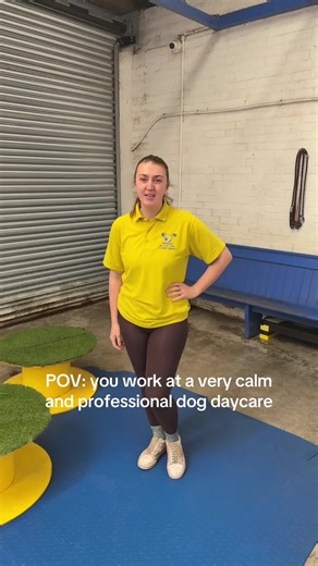 Controlled chaos is always encouraged, starting with the staff! 😂 #dog #dogsoftiktok #doggydaycare #dogtok #fyp