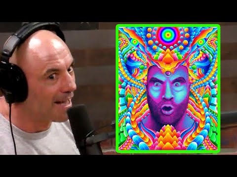 What Joe Rogan Discovered in the DMT Dimension... 🤯 | Podcast Joe Rogan
