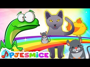 DJEČJE PJESMICE Mix 🎶 Veseli Vrtić: Pjesme o Životinjama za Dječju Zabavu