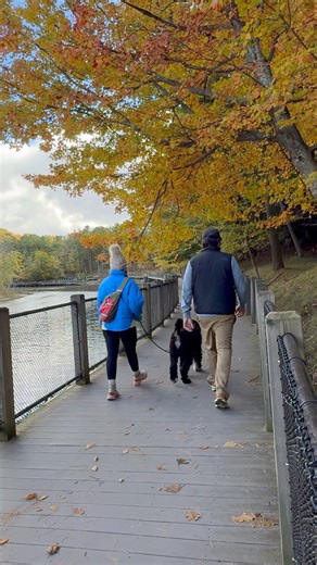 Fall at Ludington State Park. #ludington #ludingtonstatepark #michigan | MI Playground