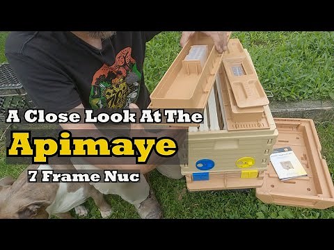A Close Look At The Apimaye 7 Frame Nuc