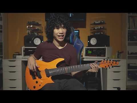 Animals as Leaders - The Woven Web (Guitar Cover + Tab)