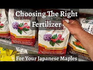 Fertilizing Your Japanese Maples? [Watch Before You Buy]