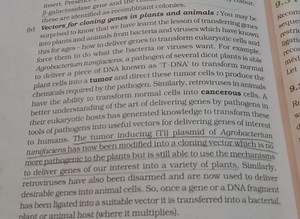 ert. Pres these are identified as recombinant colonies.(iv) Ve... | Filo