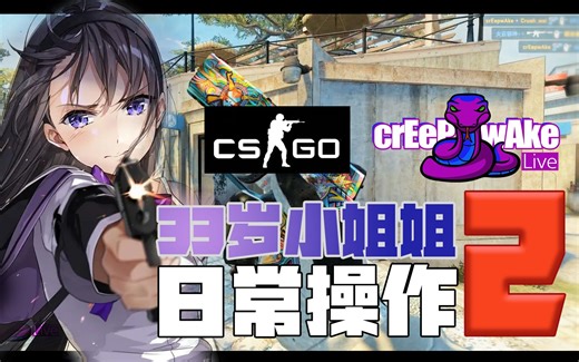 【CSGO】看33岁技术流小姐姐的日常操作 第2集